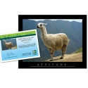 Adopt a Llama
