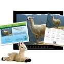 Adopt a Llama