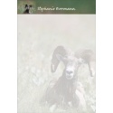 NWF Post-it Notepads - Large