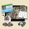 Adopt a Canada Lynx - $100