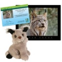 Adopt a Canada Lynx