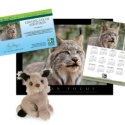 Adopt a Canada Lynx