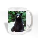 NWF Mugs