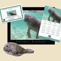 Adopt a Florida Manatee