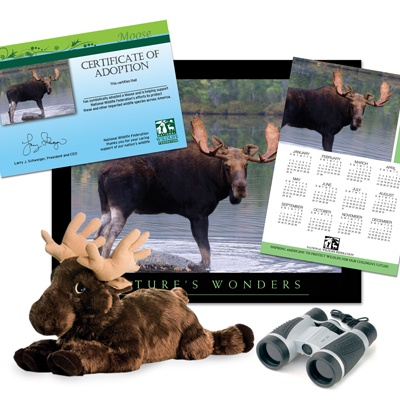 Adopt a Moose - $150