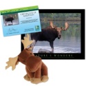 Adopt a Moose - $30