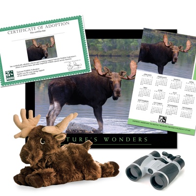 Adopt a Moose - $75