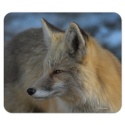 NWF Mouse Pads