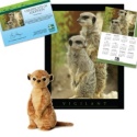 Adopt a Meerkat