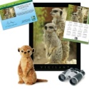 Adopt a Meerkat