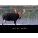 NWF Notecards