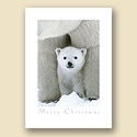 Peeking Cub Card