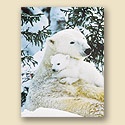 Polar Bear Hug Card