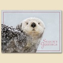Close Up Card