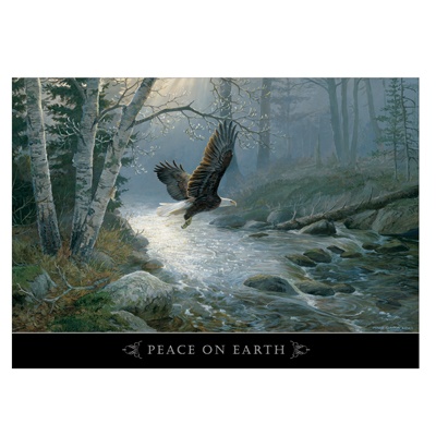 Spring Run Card