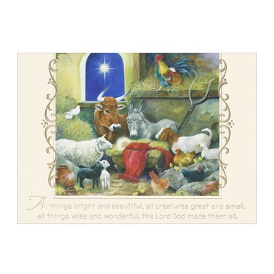 Bright and Beautiful Card