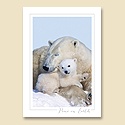 Naptime Card