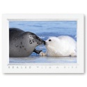 Sealed with a Kiss Card