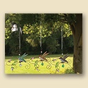 Hummingbird Bouncies - set of 3