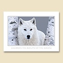 The Beauty of the Season Card