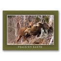 Moose Tenderness Card