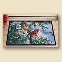 Cardinals Doormat