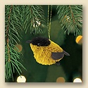 Songbird Ornament - Goldfinch