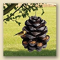 Pine Cone Bird Feeder