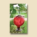 Etched Red Glass Hummingbird Feeder