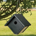 Wren and Chickadee House