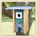 Bluebird House