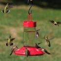 Dr. JB's Hummingbird Feeder