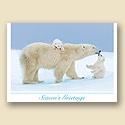 Polar Kiss Card