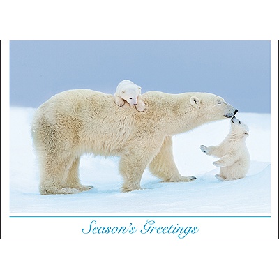 Mother and Twin Cubs Card