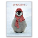 Emperor Penguin