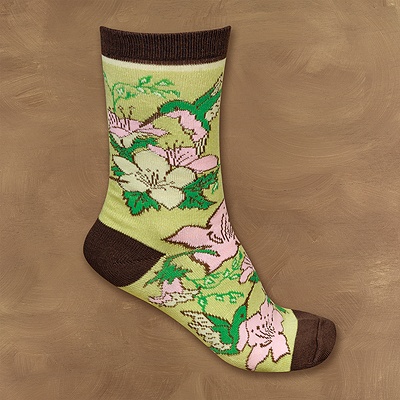 Designer Socks - Hummingbird
