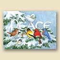 Peace Birds Card