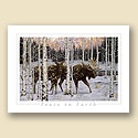 Moose Card
