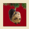 Squirrel Buri Ornament