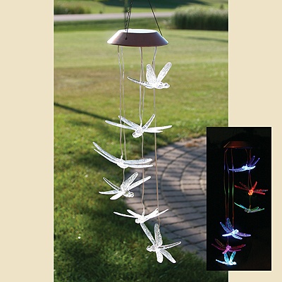 Dragonfly Solar Mobile