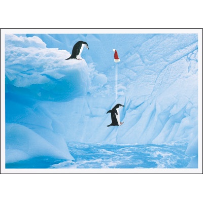 Penguin Plunge Card