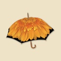 Gerbera Daisy Stick Umbrella