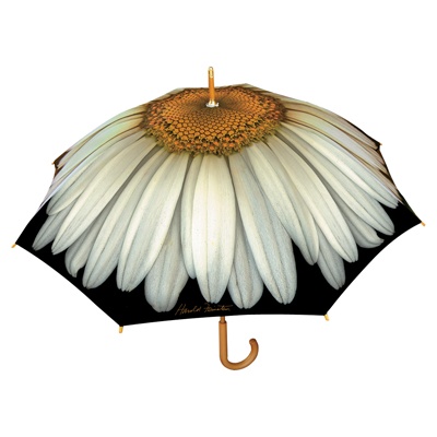 Daisy Stick Umbrella