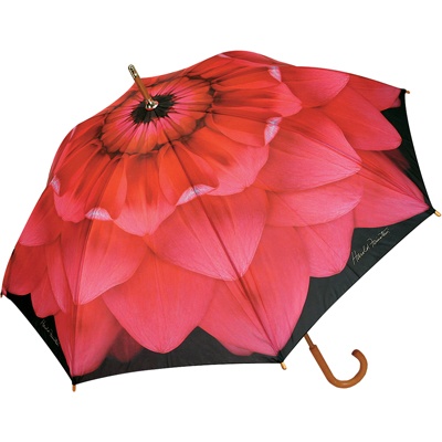 Pink Dahlia Stick Umbrella