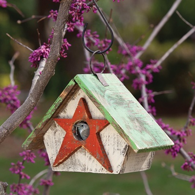 Rustic Wooden Birdhouse