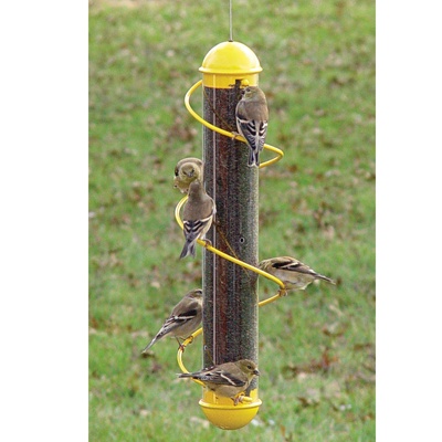 Finch Tube Feeder with Spiral Perch