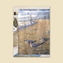 At the Beach Shower Curtain