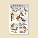 Field & Meadow Song Card