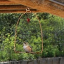 Copper Hummingbird Swing