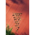 Dragonfly Shimmering Bells